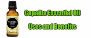 Copaiba Essential Oil – Uses And Benefits